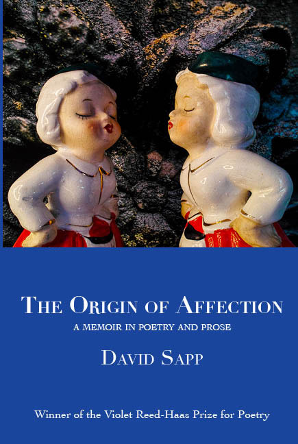 The Origin of Affection front cover